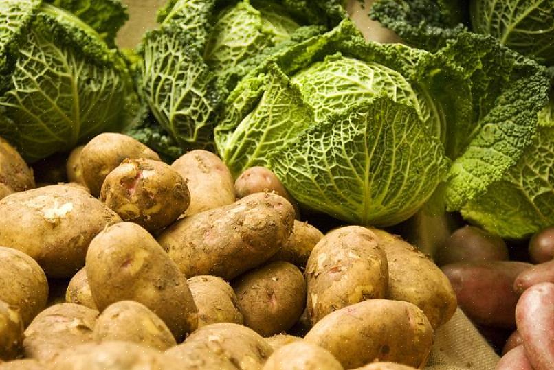 Ledsagerplantning kan defineres som praksis med at plante forskellige arter af planter tæt på hinanden