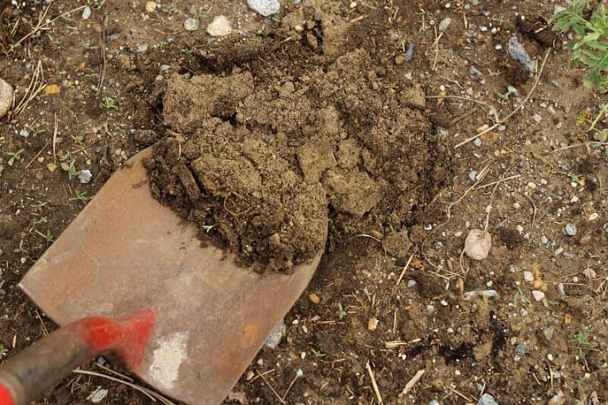 Det er et mineral snarere end et produkt af rådnet organisk materiale