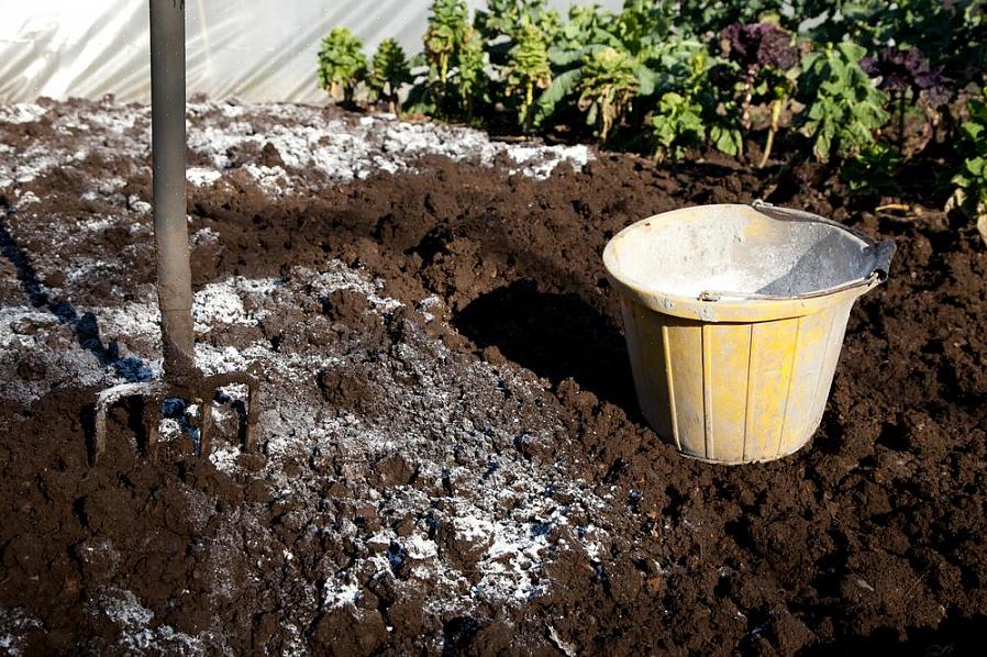 Det kan graves ned i jorden omkring bunden af planter for at øge svovlniveauerne i jorden